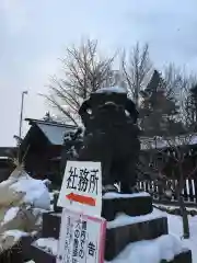 札幌護國神社の狛犬