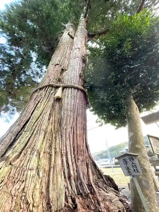 津田神社(三重県)