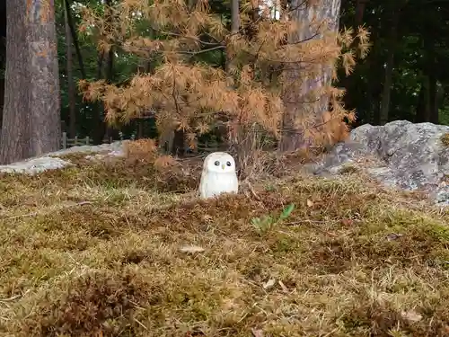 上川神社の狛犬