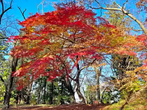 愛宕神社(山形県)
