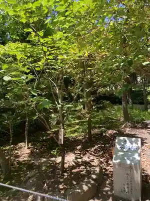 鶴岡八幡宮(神奈川県)