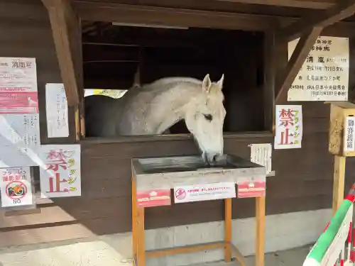 鹿児島神宮の{uncategorized: "未分類", other: "その他", undefined: "問題あり", building: "その他建物", grave: "お墓", sacred_gate: "鳥居", guardian: "狛犬", statue: "像", buddha: "仏像", history: "歴史", nature: "自然", garden: "庭園", animal: "動物", pagoda: "塔", temizu: "手水舎", mountain_gate: "山門・神門", sanctuary: "本殿・本堂", subordinate: "末社・摂社", art: "芸術", scenery: "景色", jizo: "地蔵", ema: "絵馬", goshuin: "御朱印", omikuji: "おみくじ", items: "授与品その他", amulet: "お守り", goshuincho: "御朱印帳", eats: "食事", festival: "お祭り", votive_dance: "神楽", shichigosan: "七五三参", wedding: "結婚式", experience: "体験その他", initially: "初詣", around: "周辺", anti_infection: "感染症対策"}