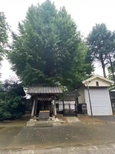 小野神社の手水