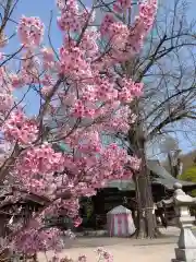 賀羅加波神社(広島県)