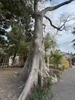 竃神社(兵庫県)