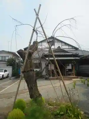 本興寺のその他建物