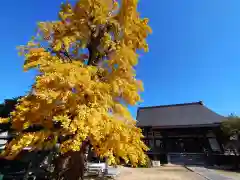 浄光寺(愛知県)