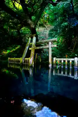 奥宮(鹿島神宮摂社)(茨城県)