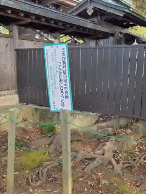 鹿島八幡神社(茨城県)