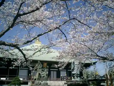 長勝寺の本殿・本堂