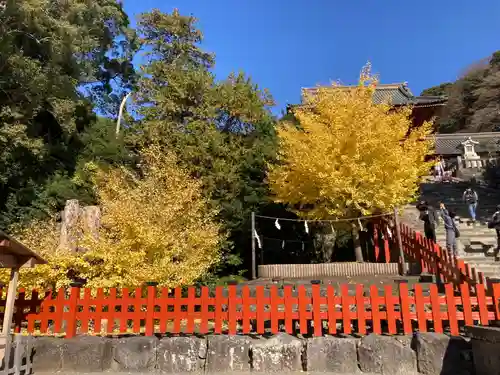 鶴岡八幡宮の自然