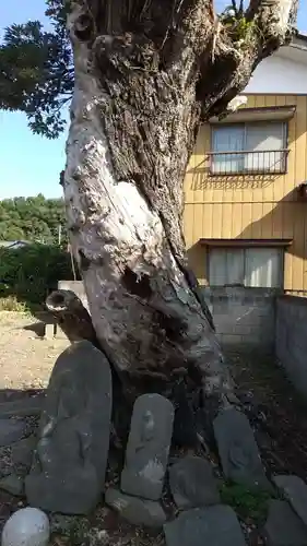 無量寿寺（不動明王）（廃寺）の仏像