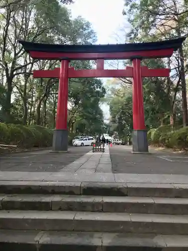 大宮八幡宮の鳥居