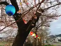 川田八幡神社の自然
