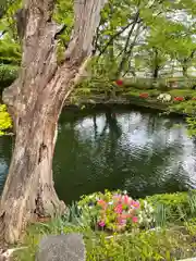 瀧宮神社(埼玉県)