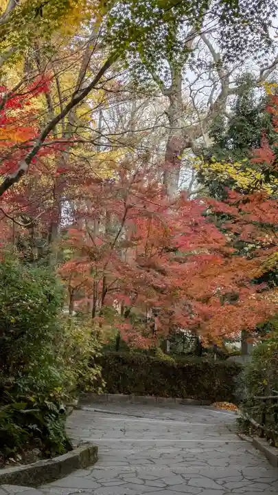 長岡天満宮(京都府)