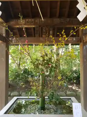 赤坂氷川神社(東京都)