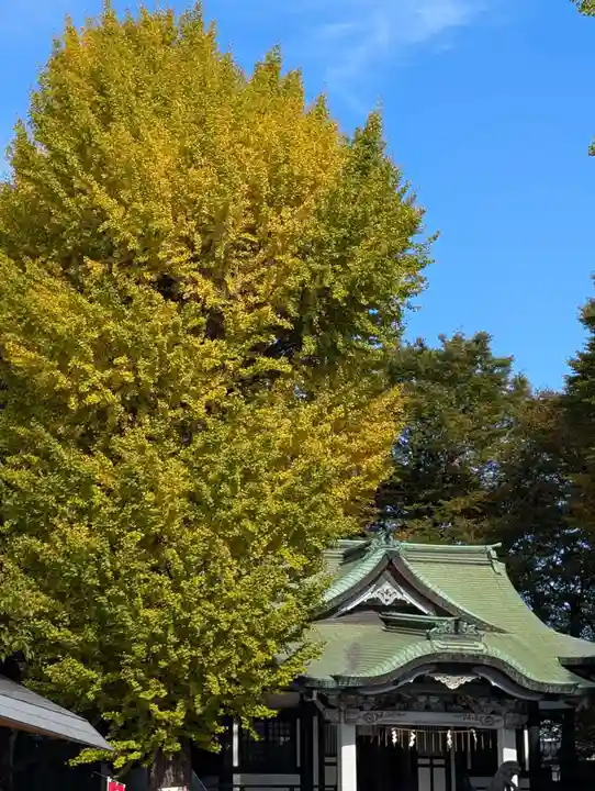 亀有香取神社(東京都)