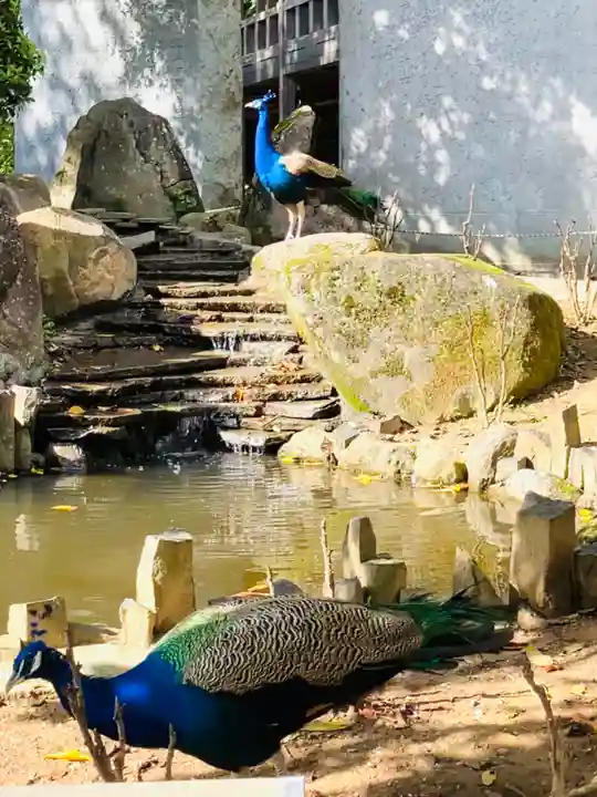 楽法寺(雨引観音)(茨城県)