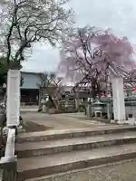 洞昌院(神奈川県)