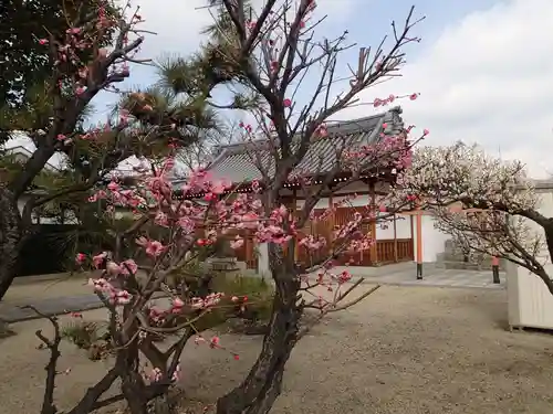 志貴縣主神社のその他建物