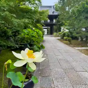 伊勢の国 四天王寺(三重県)(2025年06月23日(月) 14時03分15秒投稿)