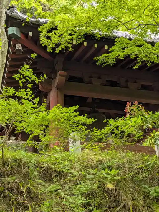 妙本寺(神奈川県)