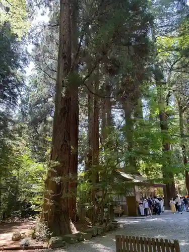 高千穂神社(宮崎県)