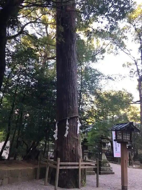 石上神宮のその他建物