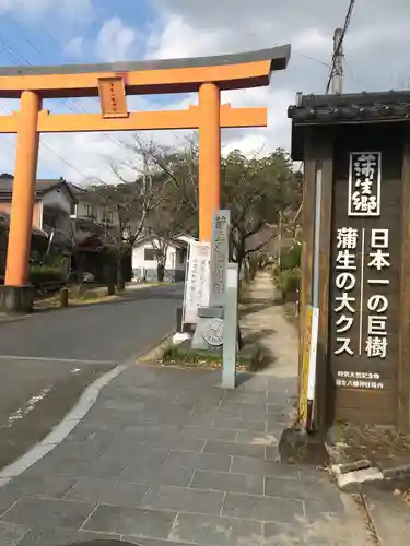 蒲生八幡神社の鳥居