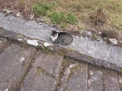 龍岩寺(大分県)