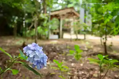 椿ノ海　水神社(千葉県)