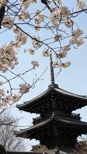 真正極楽寺（真如堂）(京都府)