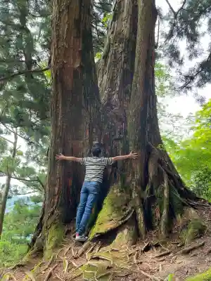 玉置神社(奈良県)
