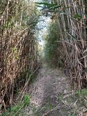 吾妻神社の周辺