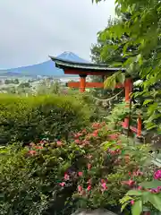 新倉富士浅間神社(山梨県)