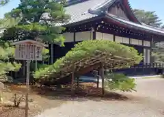 鹿苑寺（金閣寺）(京都府)