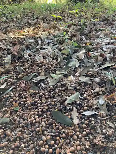 楯縫神社(茨城県)