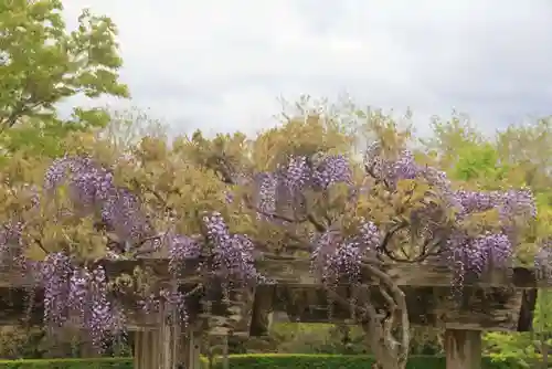 滑川神社 - 仕事と子どもの守り神の周辺