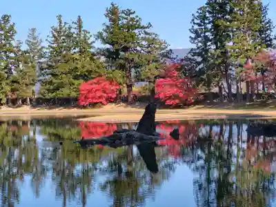 毛越寺(岩手県)