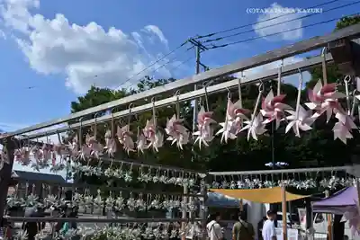 川越氷川神社(埼玉県)