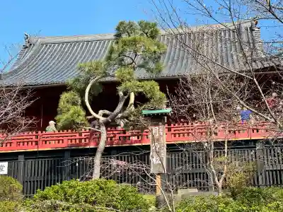 清水観音堂(東京都)