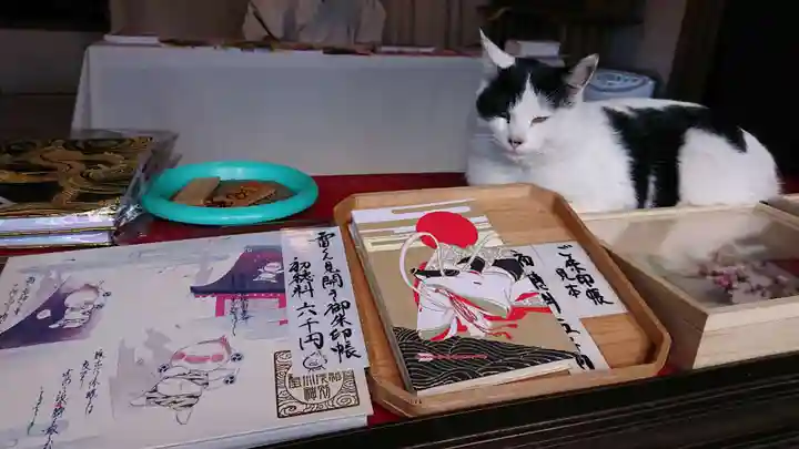 賀茂別雷神社の動物