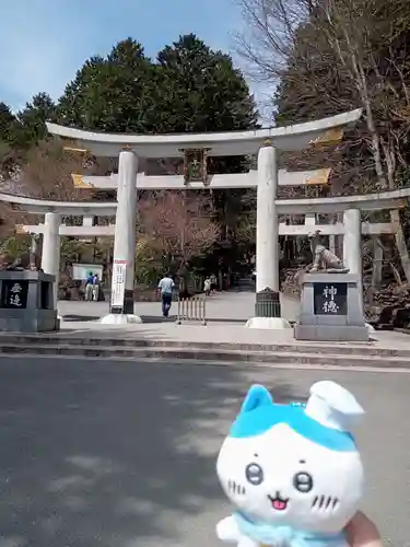 三峯神社の鳥居