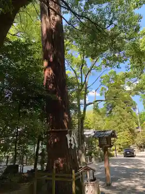 石上神宮(奈良県)