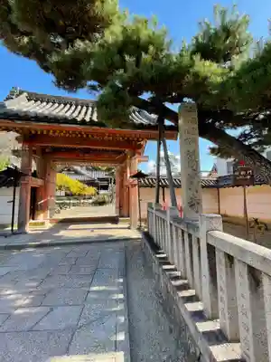 葛井寺(大阪府)