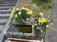 国宝 大法寺の{uncategorized: "未分類", other: "その他", undefined: "問題あり", building: "その他建物", grave: "お墓", sacred_gate: "鳥居", guardian: "狛犬", statue: "像", buddha: "仏像", history: "歴史", nature: "自然", garden: "庭園", animal: "動物", pagoda: "塔", temizu: "手水舎", mountain_gate: "山門・神門", sanctuary: "本殿・本堂", subordinate: "末社・摂社", art: "芸術", scenery: "景色", jizo: "地蔵", ema: "絵馬", goshuin: "御朱印", omikuji: "おみくじ", items: "授与品その他", amulet: "お守り", goshuincho: "御朱印帳", eats: "食事", festival: "お祭り", votive_dance: "神楽", shichigosan: "七五三参", wedding: "結婚式", experience: "体験その他", initially: "初詣", around: "周辺", anti_infection: "感染症対策"}