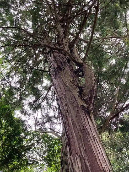 劔之宮王子神社の自然