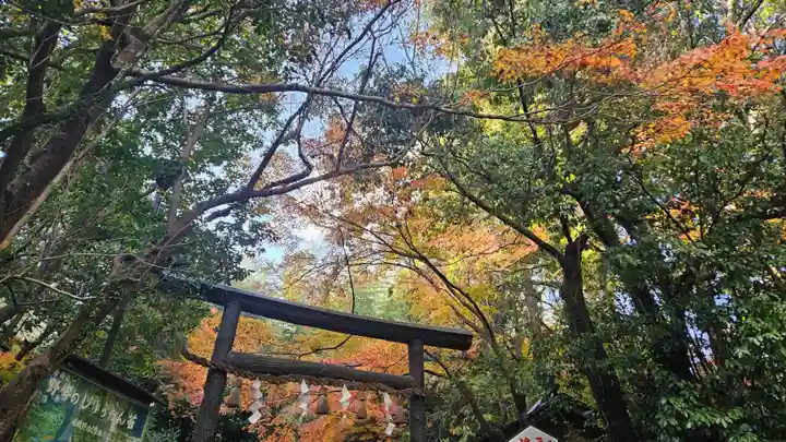 野宮神社(京都府)