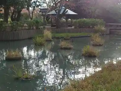 出雲大社(島根県)